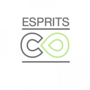 Logo startup EspritsCollaboratifs