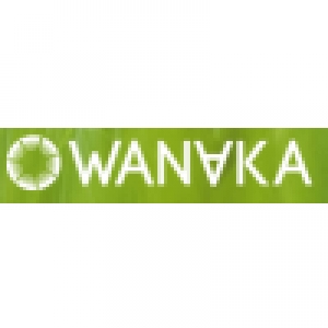 Logo startup Wanaka