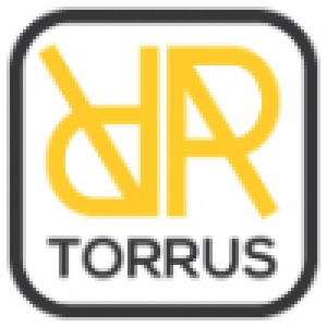 Logo startup TorrusVR