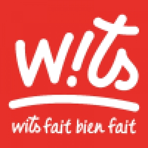 Logo startup Wits