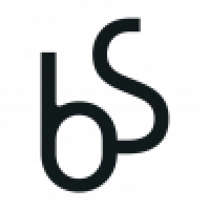 Logo startup Bengs