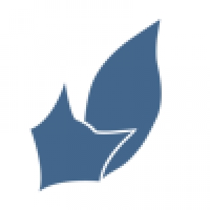 Logo startup Fox Audit