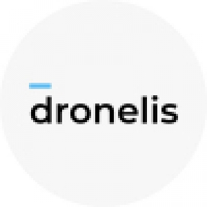 Logo startup Dronelis