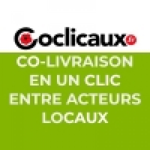 Logo startup COCLICAUX