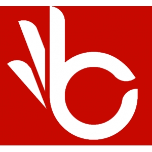 Logo startup bziiit