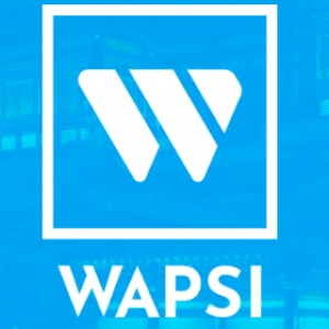 Logo startup WAPSI