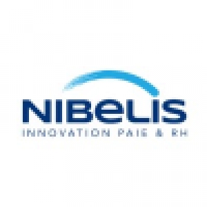 Logo startup Nibelis