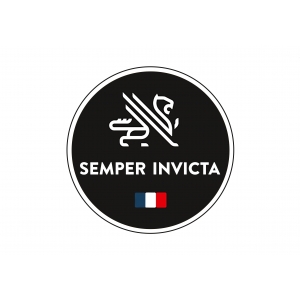 Logo startup semper invicta