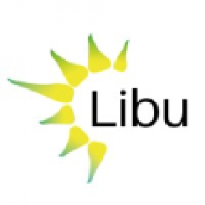 Logo startup Lianeli