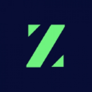 Logo startup VIDMIZER