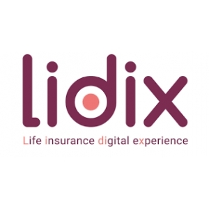 Logo startup Lidix