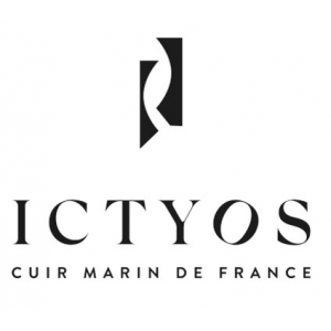 Logo startup ICTYOS