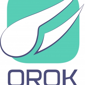 Logo startup OROK