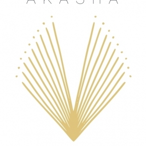 Logo profil startup