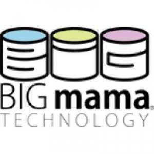 Logo startup Big mama