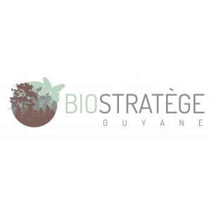 Logo startup