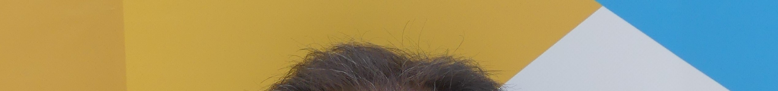 background profil