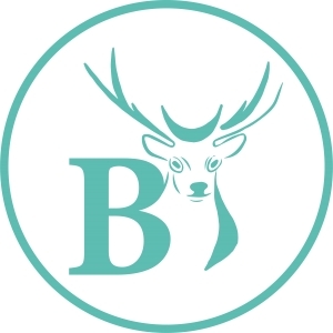Logo profil startup
