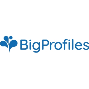 Logo startup BigProfiles