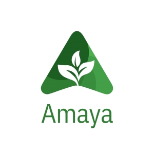 Logo profil startup