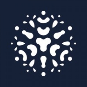Logo startup DigitalKin
