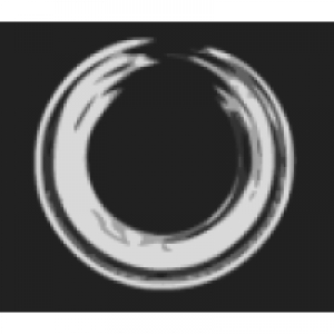 Logo startup VISUAL BEHAVIOR