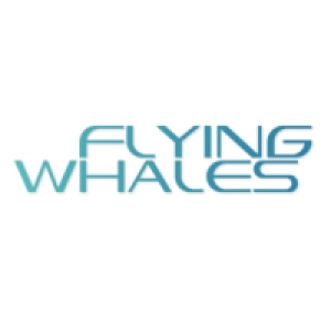 Logo startup Flying Whales