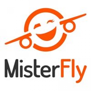 Logo startup MISTER FLY