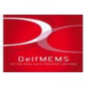 Logo startup DelfMEMS