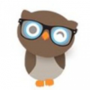 Logo startup Le Hibou