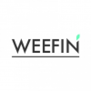 Logo startup WeeFin