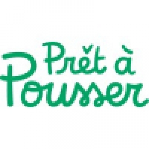 Logo startup Pr