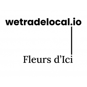 Logo startup WeTradeLocal / Fleurs d'ici