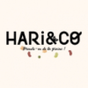 Logo startup Hari & Co
