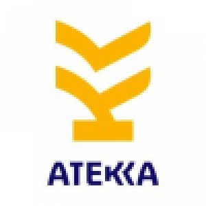 Logo profil startup
