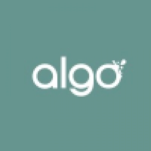 Logo startup Algo Paint
