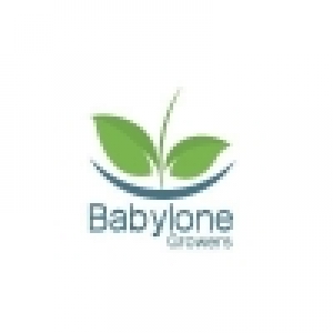 Logo profil startup
