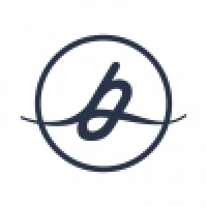 Logo startup Bowo