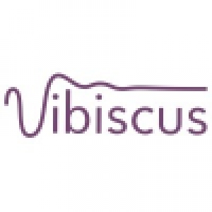 Logo startup Vibiscus