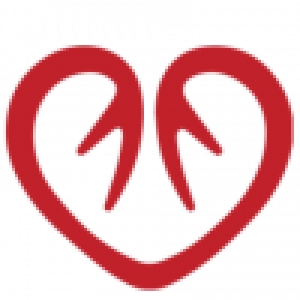 Logo startup Imageens