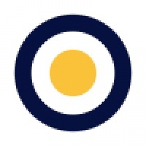 Logo startup Nesspay