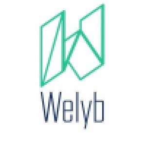 Logo startup Welyb