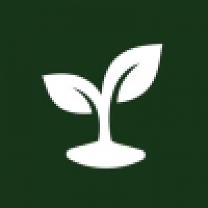 Logo startup FINGREEN AI