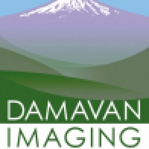 Logo startup DAMAVAN IMAGING