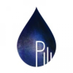 Logo startup Pili