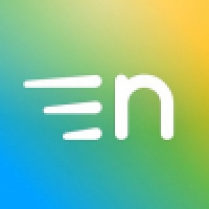 Logo startup Netframe.co