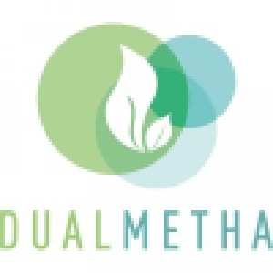 Logo startup DualMetha