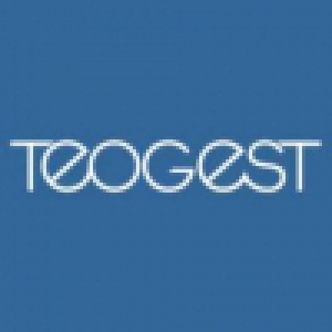 Logo startup Teogest