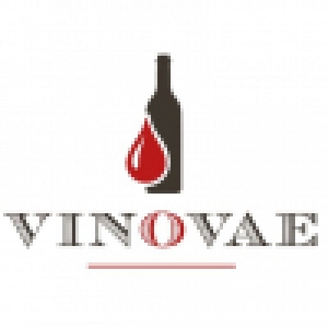 Logo startup Vinovae LTD