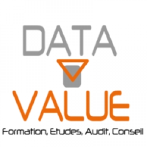 Logo startup Data Value